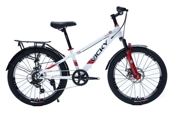 Xe đạp trẻ em Vicky F20 20 inch