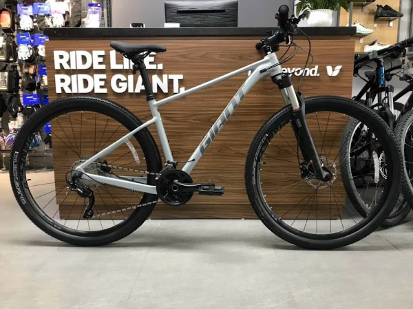 Xe đạp địa hình (Mountain bike)