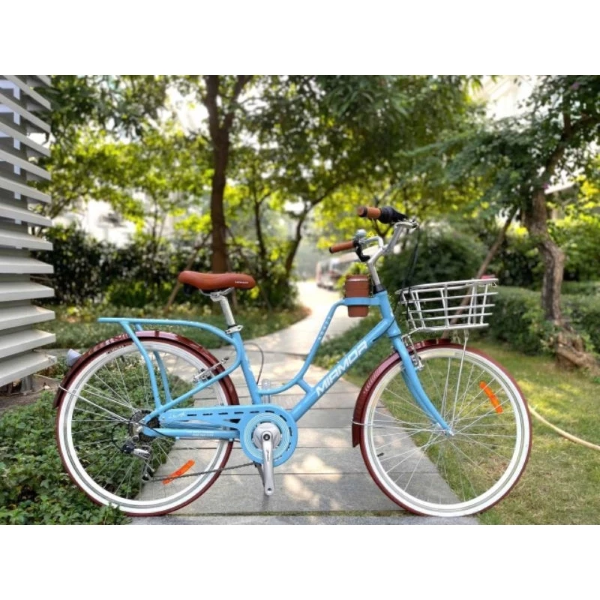 Xe đạp đường phố (City bike)