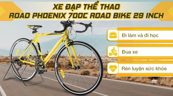 Top 7 xe đạp đua dưới 10 triệu​ tốt nhất trên thị trường 2025