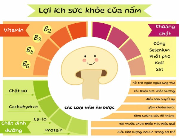 Lợi ích từ nấm đối với sức khỏe