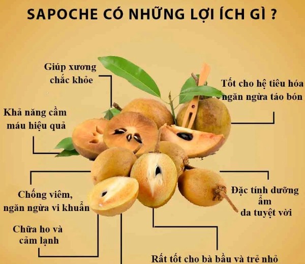 Lợi ích sức khỏe từ sinh tố Sapoche và vai trò của lượng calo