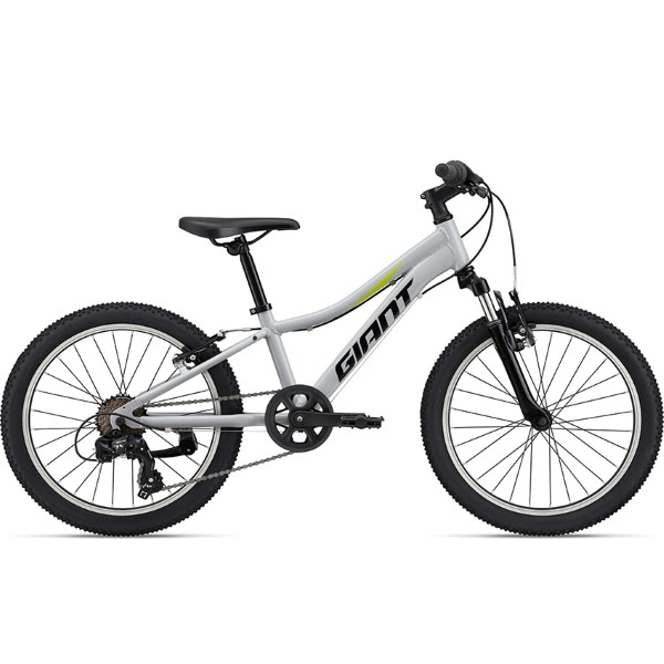 Xe đạp Giant XTC JR 20