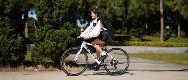 Hướng dẫn chọn mua xe đạp California