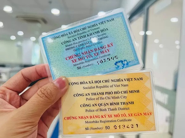 Cà vẹt xe
