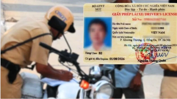 Các lưu ý bắt buộc về quy định giấy phép lái xe