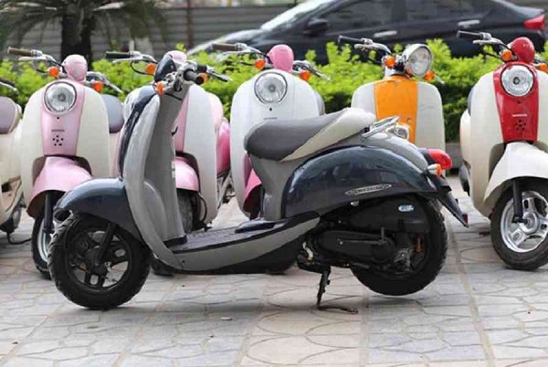 Xe ga 50cc Honda Scoopy
